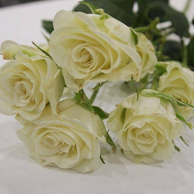 Цветы в волосы, белая кустовая роза (5шт)